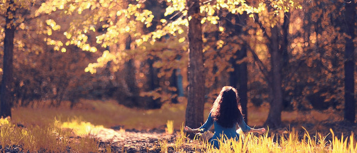 Gratitude Meditation for Thanksgiving