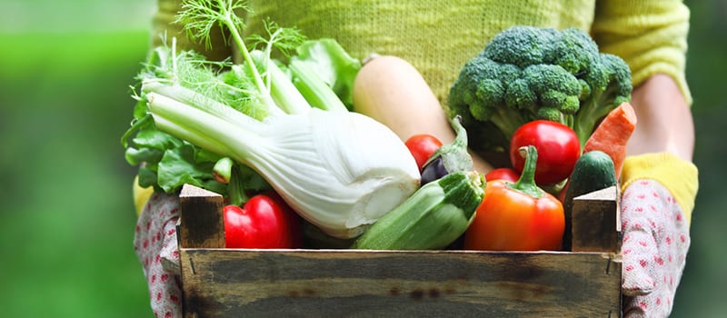 Springtime Foods to Incorporate in Your Diet
