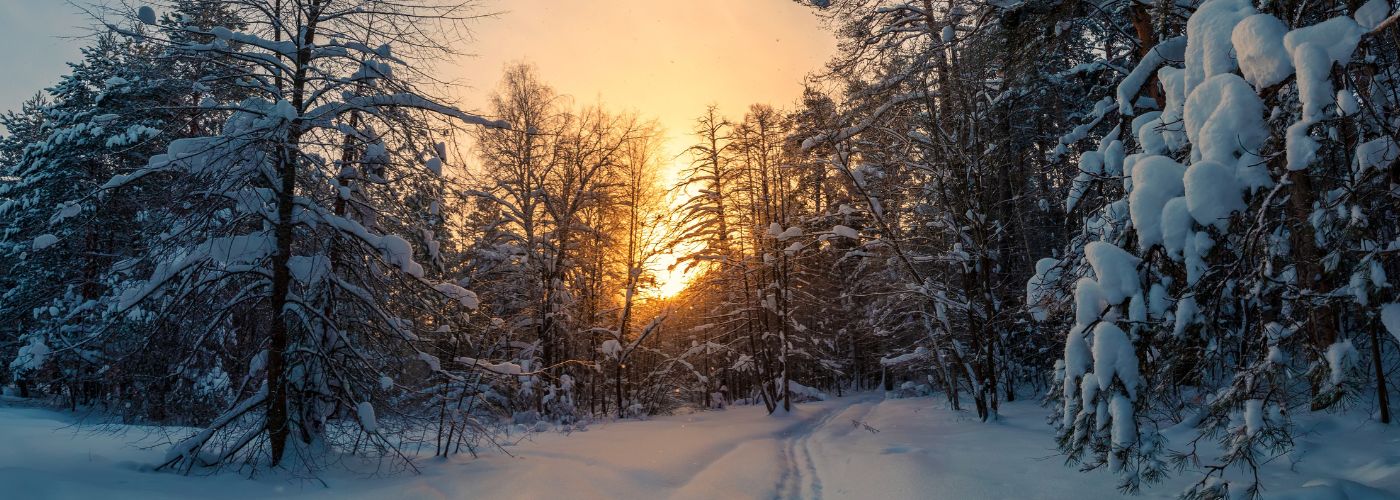 How Powerful Are Negative Ions in Winter